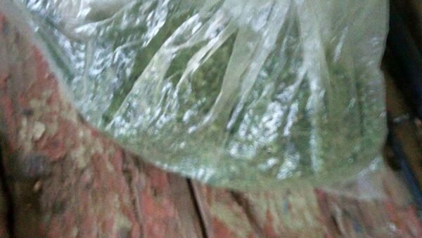 Пакет марихуаны нашли в рюкзаке неработающего гомельчанина - Sputnik Беларусь