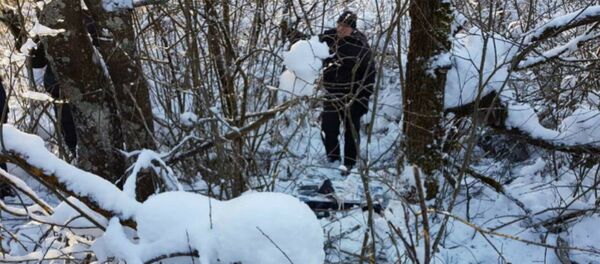 Расследование уголовного дела об убийстве матери сыном в Новополоцке - Sputnik Беларусь