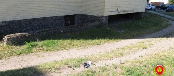 Помогла упаковка от семечек: в Бресте нашли подозреваемого в краже кошелька - Sputnik Беларусь