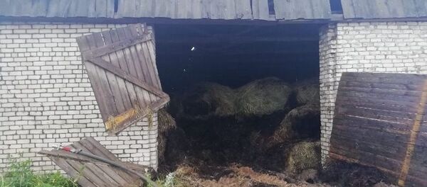 Сенохранилище чуть не сгорело в Бешенковичском районе - Sputnik Беларусь