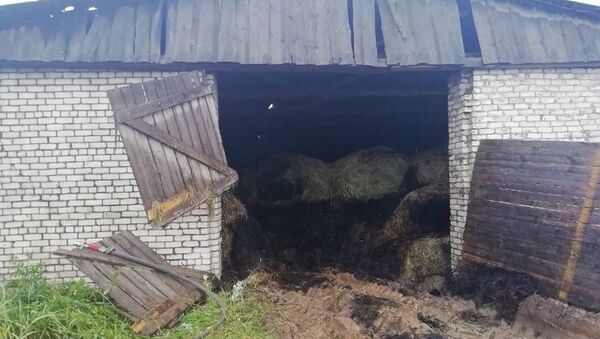 Сенохранилище чуть не сгорело в Бешенковичском районе - Sputnik Беларусь