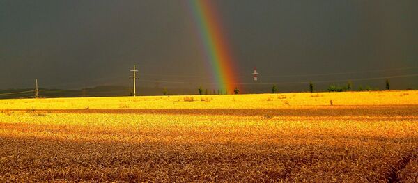 Радуга после дождя - Sputnik Беларусь