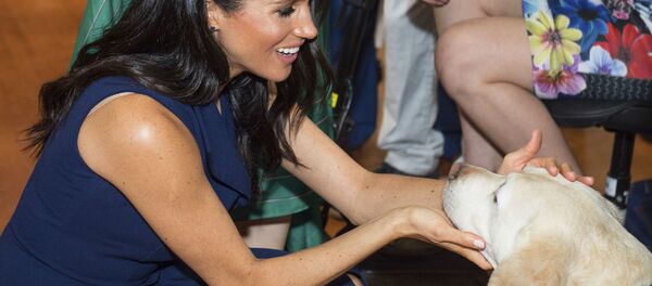 Герцогиня Сассекская Меган Маркл Герцогиня Сассекская Меган Маркл - Sputnik Беларусь