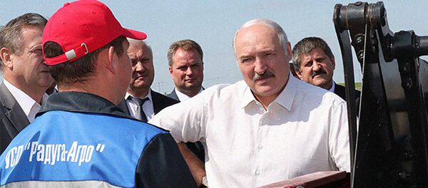 Лукашэнка - чыноўнікам: за падзеж жывёлы сядзеце ў турму - Sputnik Беларусь