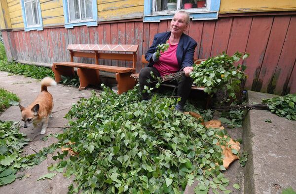 С легким паром, или Веник для мужчины с характером  - Sputnik Беларусь