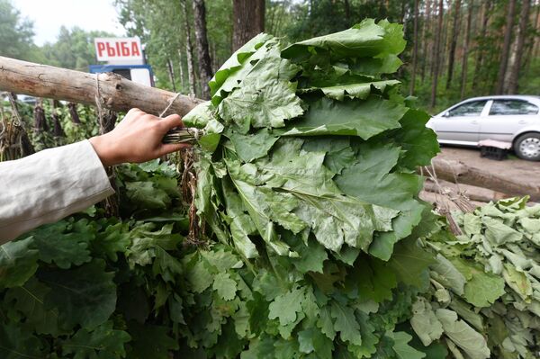 С легким паром, или Веник для мужчины с характером  - Sputnik Беларусь