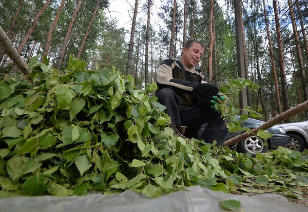 С легким паром, или Веник для мужчины с характером  - Sputnik Беларусь