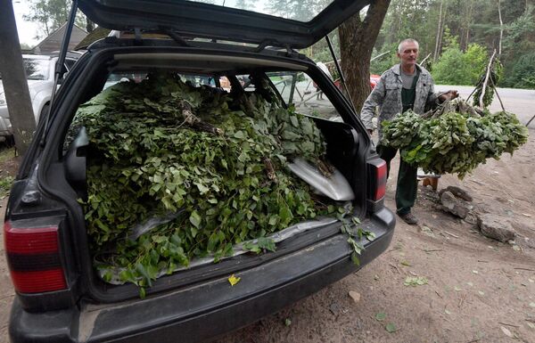 С легким паром, или Веник для мужчины с характером  - Sputnik Беларусь