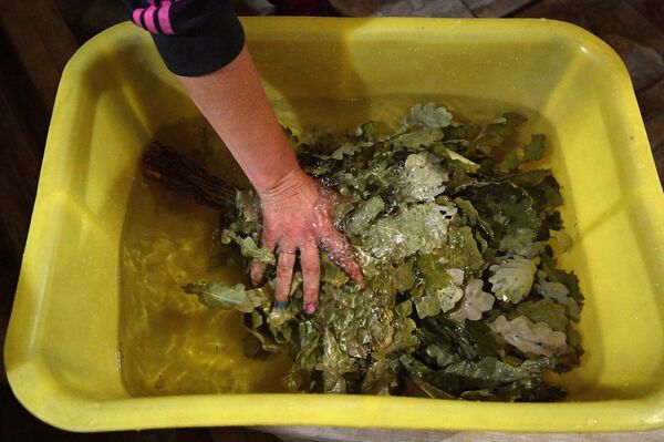 С легким паром, или Веник для мужчины с характером  - Sputnik Беларусь