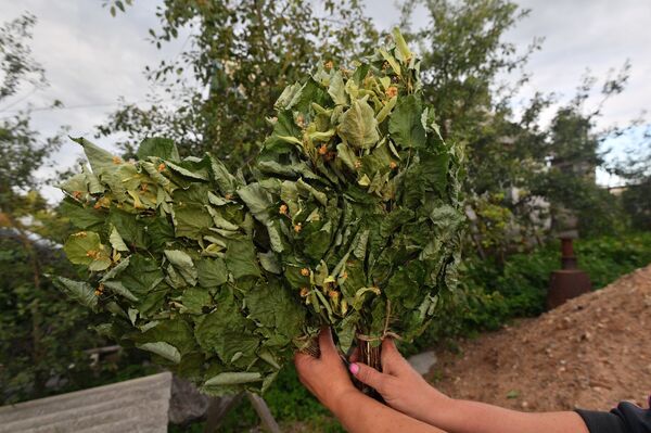 С легким паром, или Веник для мужчины с характером  - Sputnik Беларусь