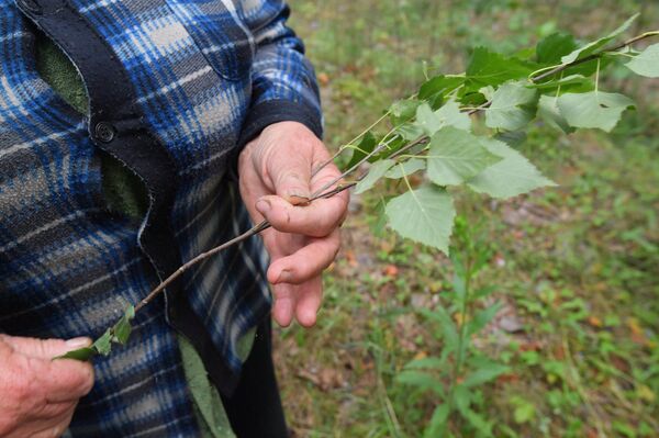 С легким паром, или Веник для мужчины с характером  - Sputnik Беларусь