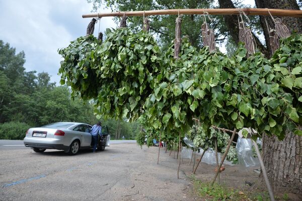 С легким паром, или Веник для мужчины с характером  - Sputnik Беларусь