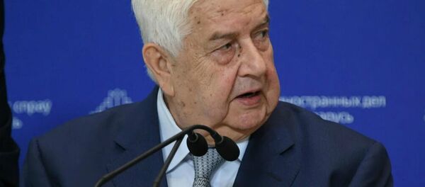 Заместитель премьер-министра – глава МИД Сирии Валид Муаллем Заместитель премьер-министра – глава МИД Сирии Валид Муаллем - Sputnik Беларусь