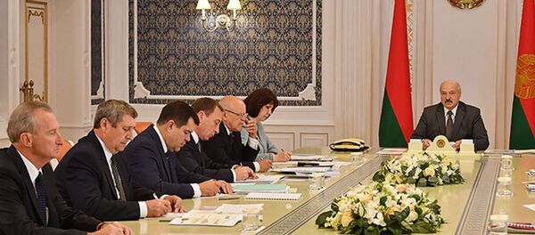 Совещание у президента Александр Лукашенко по вопросу организации высокотехнологичного агропромышленного производства - Sputnik Беларусь