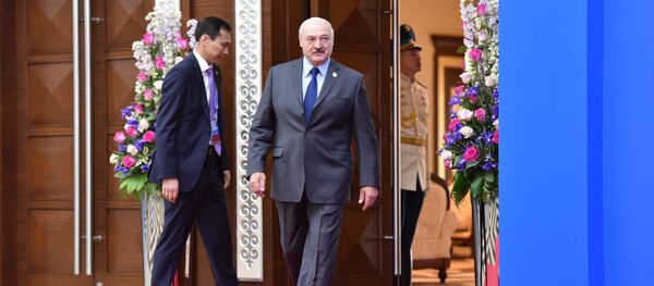 Аляксандр Лукашэнка прымае ўдзел у пасяджэнні Вышэйшага Еўразійскага эканамічнага савета Аляксандр Лукашэнка прымае ўдзел у пасяджэнні Вышэйшага Еўразійскага эканамічнага савета - Sputnik Беларусь