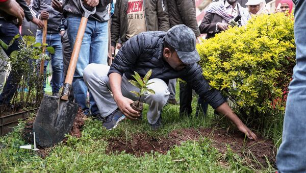 В Эфиопии сажают деревья - Sputnik Беларусь