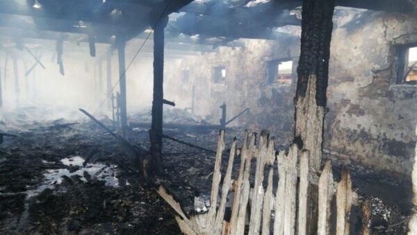 Телята погибли при пожаре в Столинском районе - Sputnik Беларусь