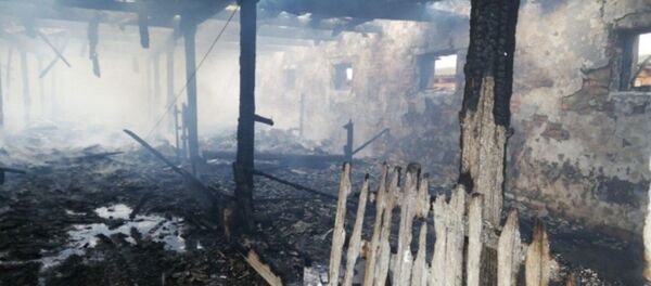 Телята погибли при пожаре в Столинском районе - Sputnik Беларусь