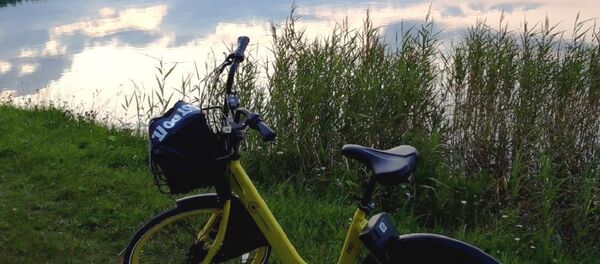 Желтый велосипед в Минске - Sputnik Беларусь