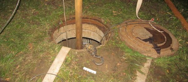 Четверо работников отравилось парами бензина в Минском районе - Sputnik Беларусь