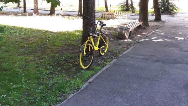 Желтый велосипед минского велошеринга - Sputnik Беларусь