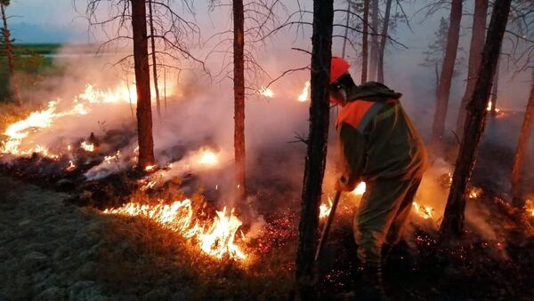 Сотрудники министерства охраны природы борются с природными пожарами - Sputnik Беларусь