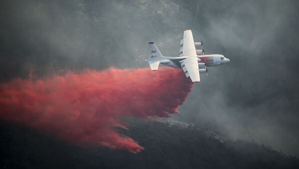 Пожарный самолет, архивное фото - Sputnik Беларусь