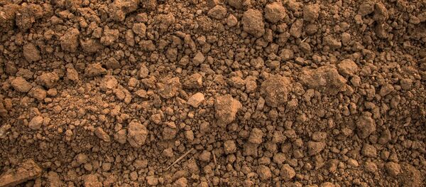 Песок, архивное фото Песок, архивное фото - Sputnik Беларусь