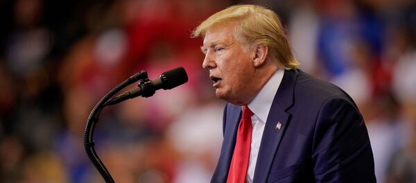 Президент США Дональд Трамп - Sputnik Беларусь