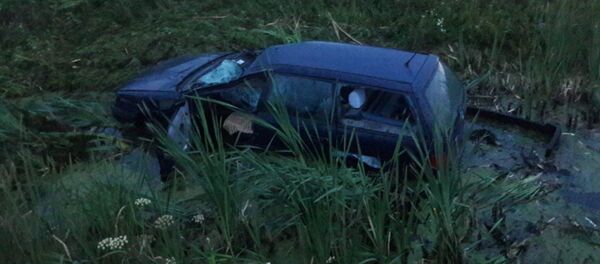 В результате ДТП на трассе погиб лось - Sputnik Беларусь