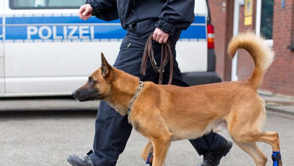 Полицейская собака Германии - Sputnik Беларусь