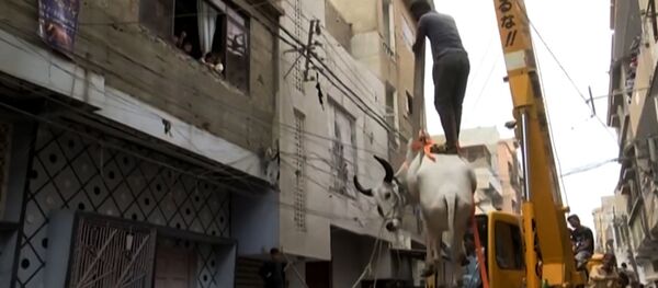 Курбан-Байрам - Sputnik Беларусь