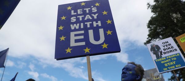 Праціўнікі Брэксіт у Лондане Праціўнікі Брэксіт у Лондане - Sputnik Беларусь
