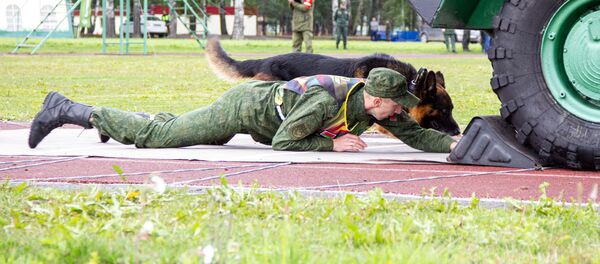 Конкурс Верный друг на АрМИ-2019 Конкурс Верный друг на АрМИ-2019 - Sputnik Беларусь