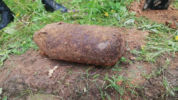 Найденная в лесу бомба - Sputnik Беларусь