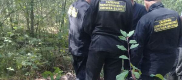 В Столинском районе обнаружены неразорвавшиеся боеприпасы - Sputnik Беларусь