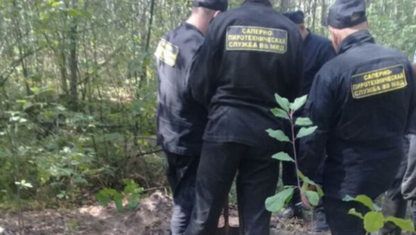 В Столинском районе обнаружены неразорвавшиеся боеприпасы - Sputnik Беларусь