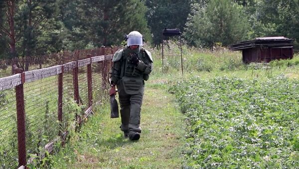 Военные саперы проверили территорию поселка рядом с горевшим складом в Ачинском районе - Sputnik Беларусь