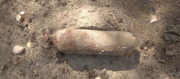 Неразорвавшуюся бомбу времен Великой Отечественной нашли под Барановичами - Sputnik Беларусь