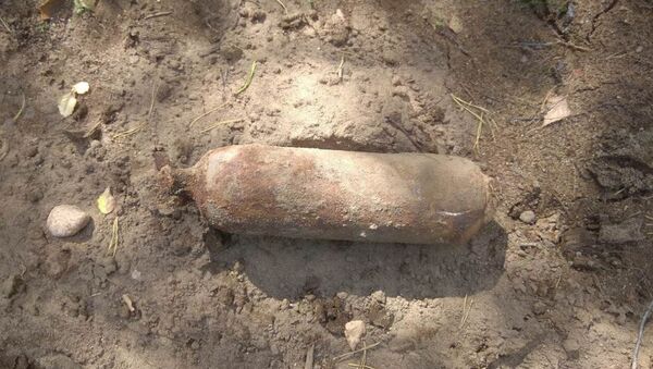 Неразорвавшуюся бомбу времен Великой Отечественной нашли под Барановичами - Sputnik Беларусь
