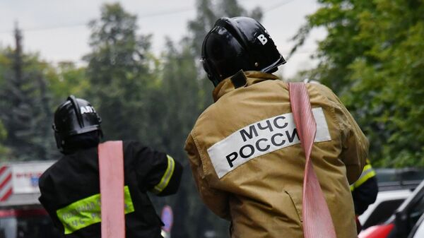 Сотрудники противопожарной службы МЧС России - Sputnik Беларусь
