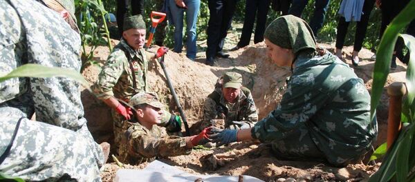 Пошукавікі з Расіі і Беларусі знайшлі астанкі чырвонаармейцаў на Магілёўшчыне - Sputnik Беларусь