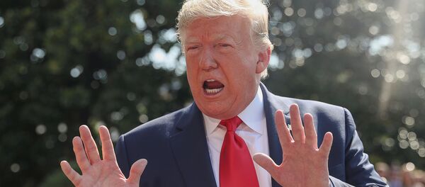 Президент США Дональд Трамп - Sputnik Беларусь