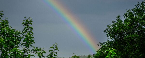 Радуга после дождя - Sputnik Беларусь