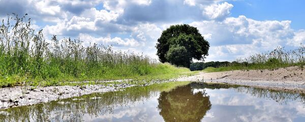 Лужа на поле - Sputnik Беларусь