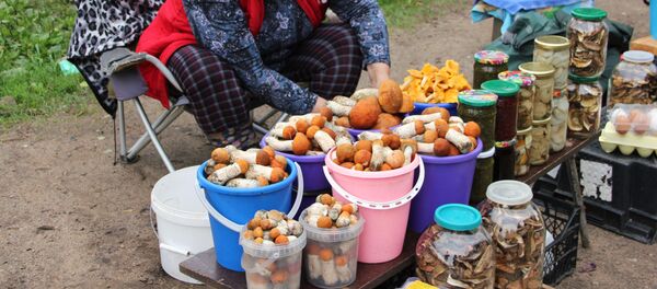 Каждый местный житель с лесом на ты, но неопытным советуют не сходить с тропинки - в логойских лесах легко заблудиться - Sputnik Беларусь