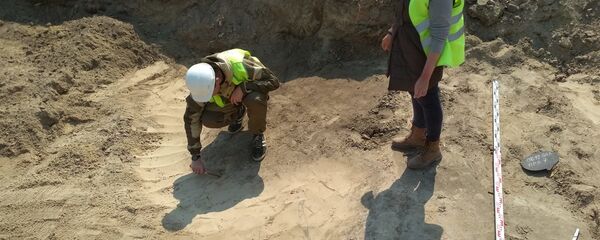 Старажытнае гарадзішча Обчын на поўдні Мінскай вобласці беларускія археолагі вывучаюць ўжо больш за шэсць гадоў - Sputnik Беларусь