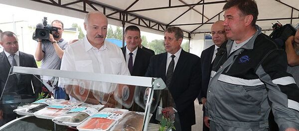 Александр Лукашенко посетил предприятие по выращиванию форели Лохва в Могилевской области - Sputnik Беларусь