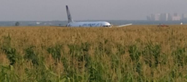 Пассажирский самолет совершил жесткую посадку в Подмосковье Пассажирский самолет совершил жесткую посадку в Подмосковье - Sputnik Беларусь