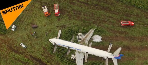 Аварийная посадка самолета  - Sputnik Беларусь